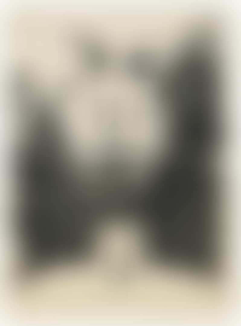 Faune souriant (preview)