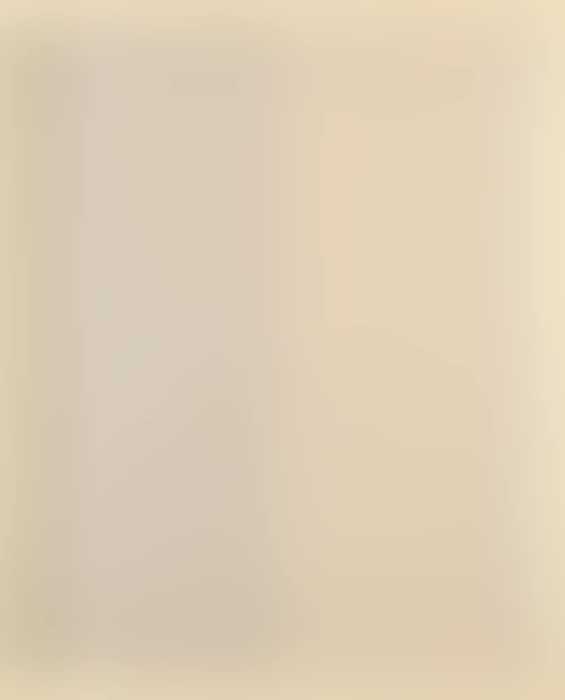 Homage to Barnett Newman (preview)