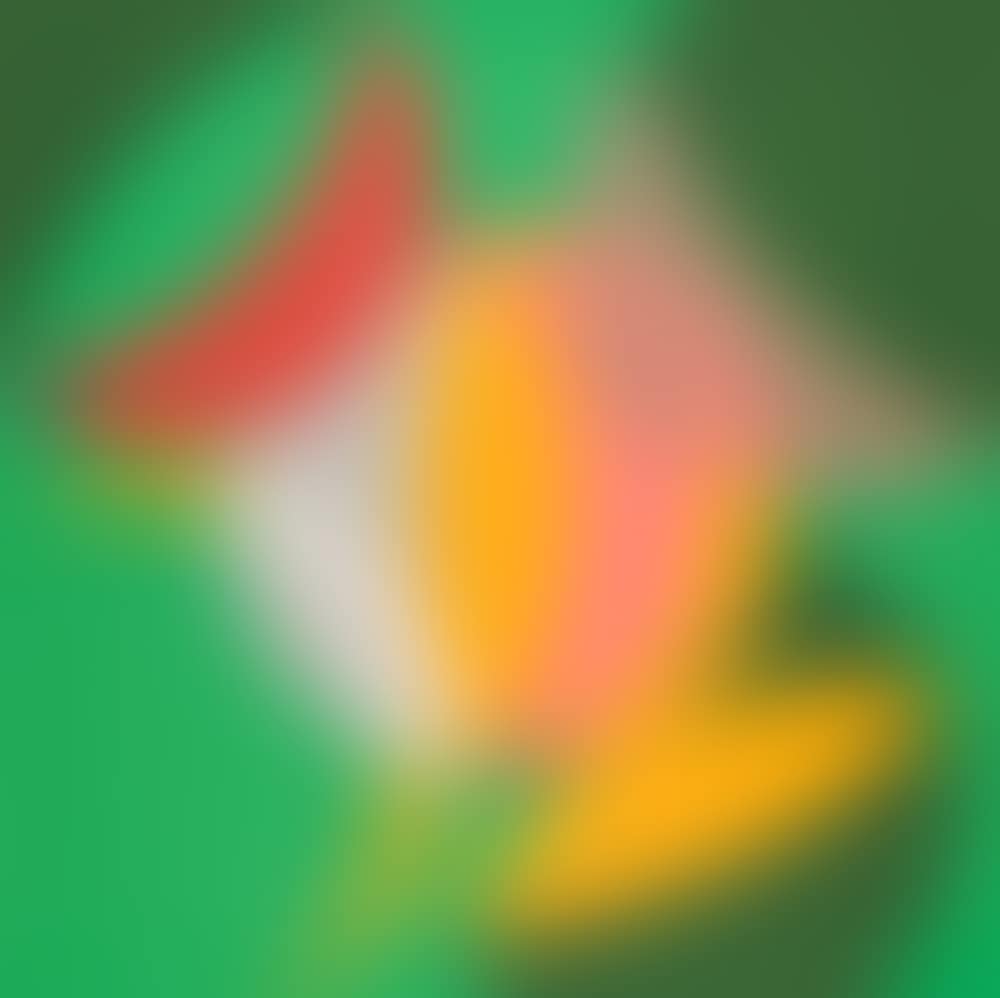 Divided into Sections (preview)