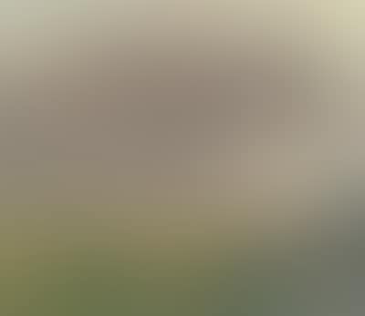 A landscape (preview)