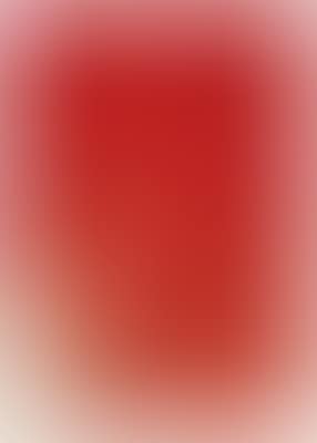 Untitled, relic of artistic action (preview)