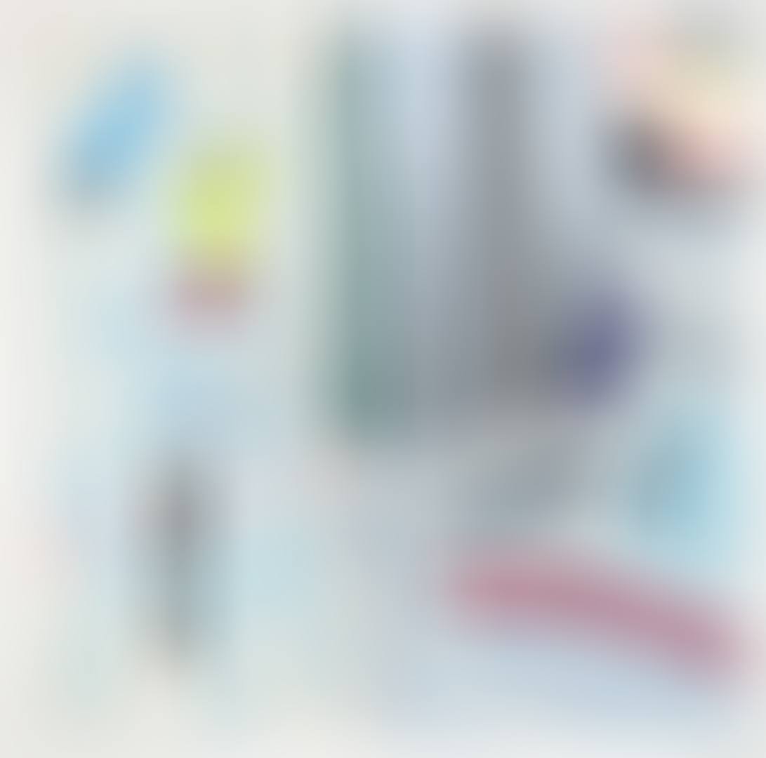 VIRTUAL INTERIOR: PORTRAIT OF A DUCK (C. 294) (preview)