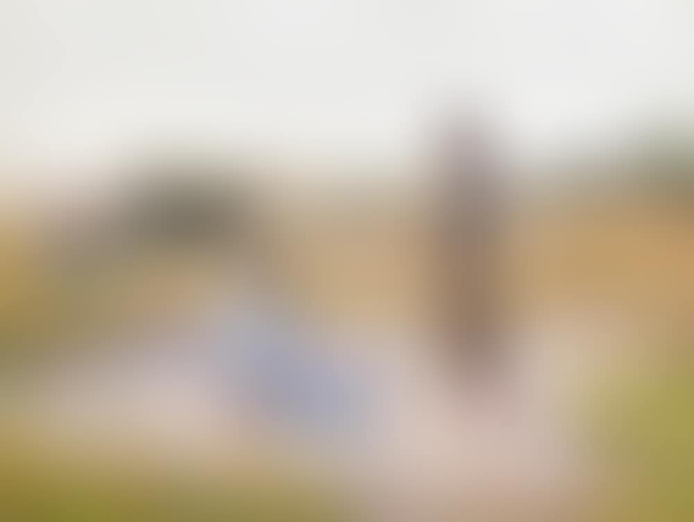 Sur les dunes, Etaples (preview)