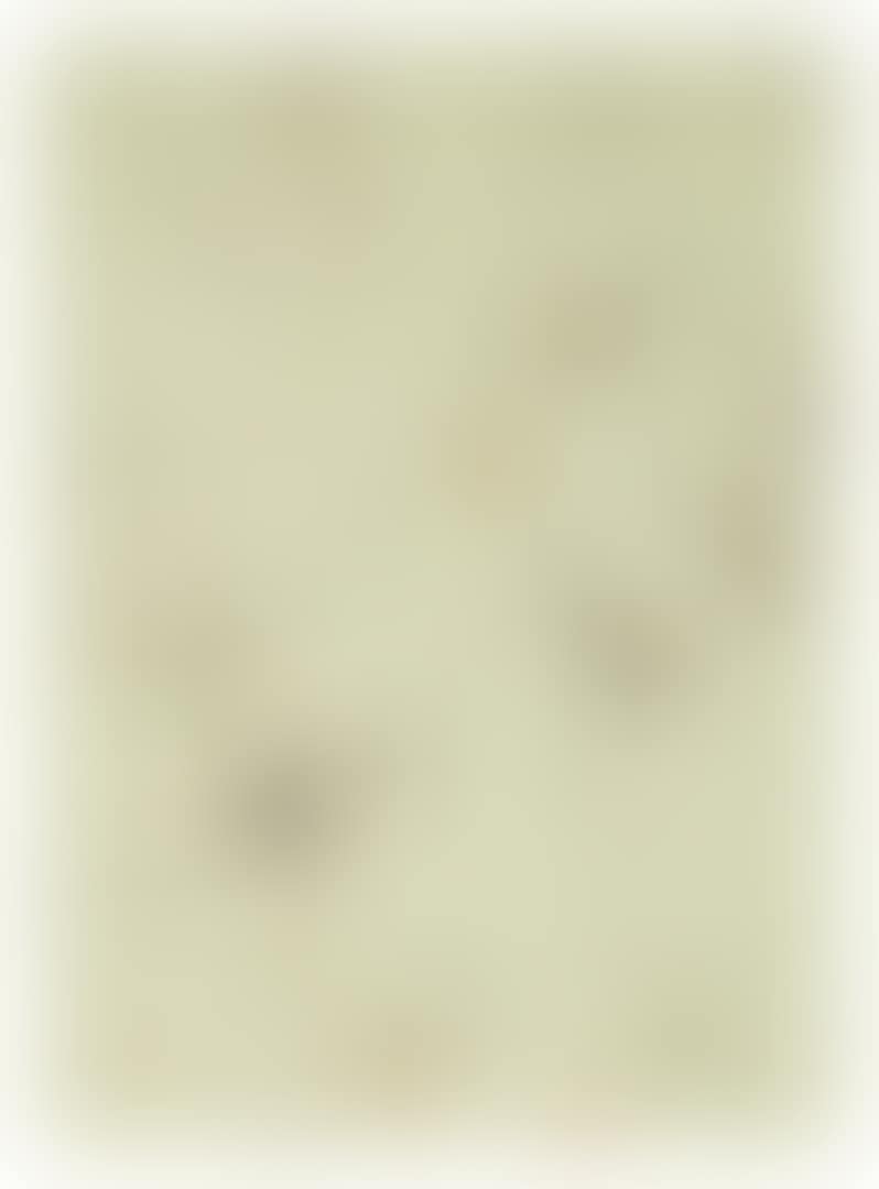 HAMBURG (PHOSPHOBRANDBOMBE) (preview)