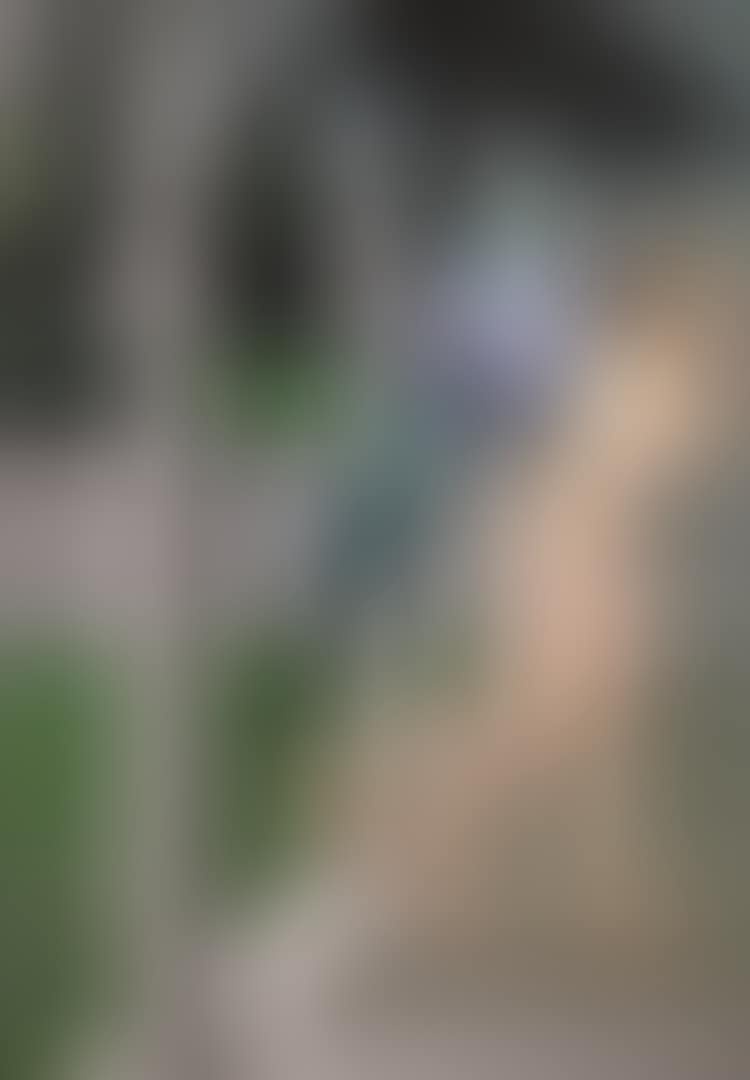THE PASSAGE OF THE ANGEL TO THE VIRGIN (NOT IN L.) (preview)