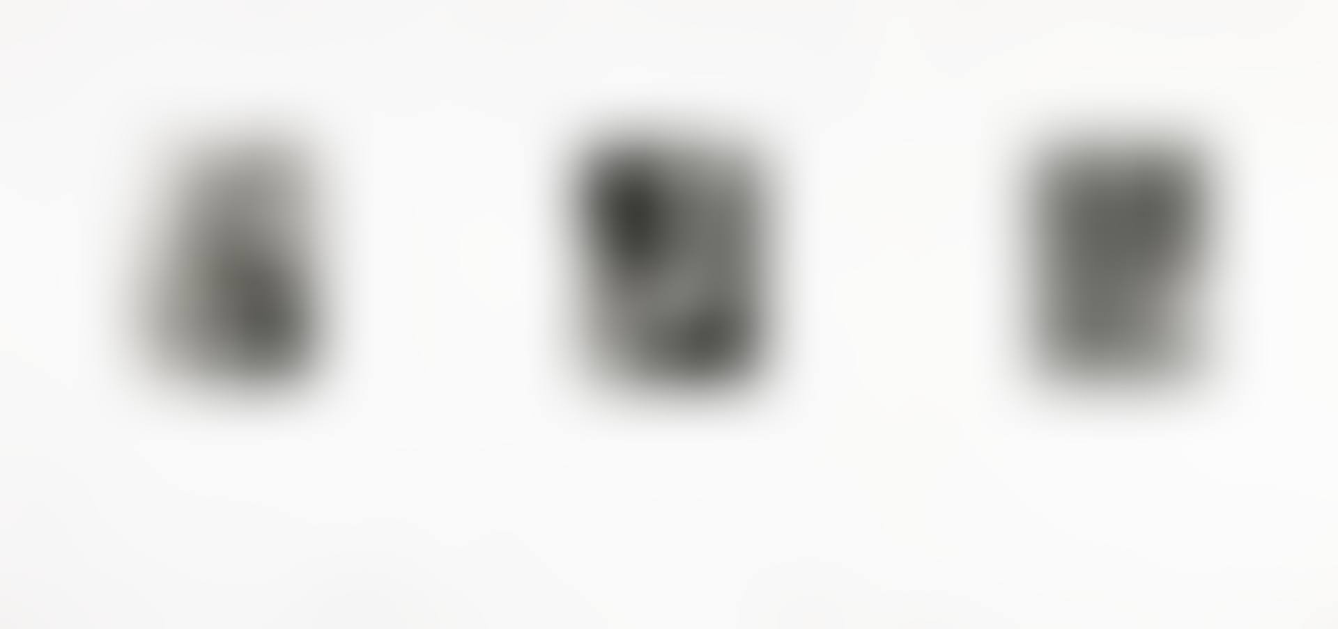 UNTITLED (ULAE 221-223) (preview)