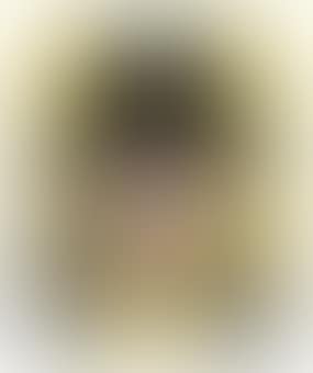 Joseph Beuys (preview)
