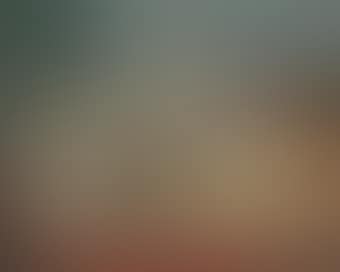 Nature morte avec mandoline (preview)