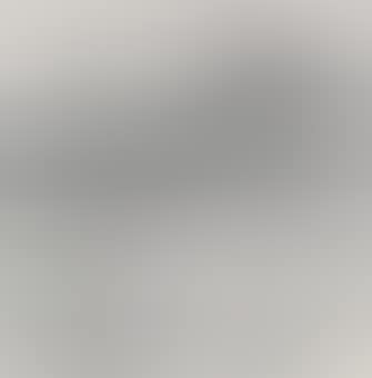 Bird Flying over Pond (preview)