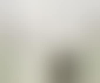 White Birch (preview)