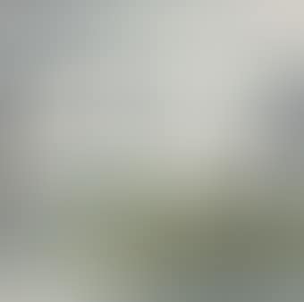 EGRETS (preview)