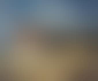 La ferme (preview)