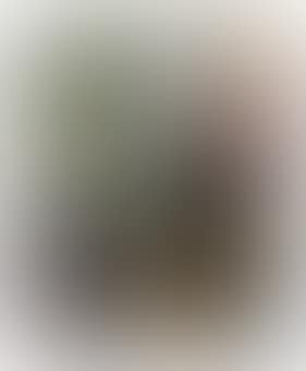 Untitled (preview)