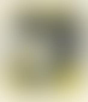 The Bee (preview)