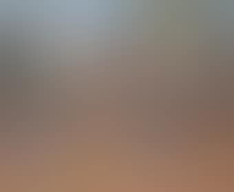 Olive trees (preview)