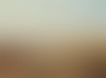 Sheep and cattle on the coast, near Beachy Head (preview)