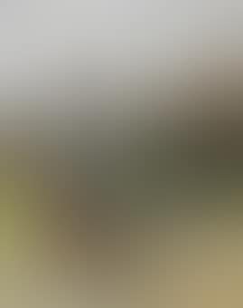 In the Farmyard (preview)