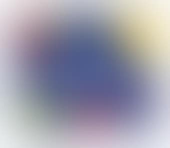 [Untitled] (preview)