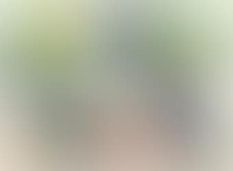 The Sower, from The Landscape Series (preview)