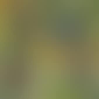 Stilleben mit Akt, Kachel und Früchten (recto); Kurische Waldlandschaft (verso) (preview)