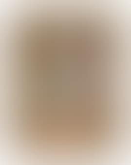One plate, from: Imaginary portraits (preview)
