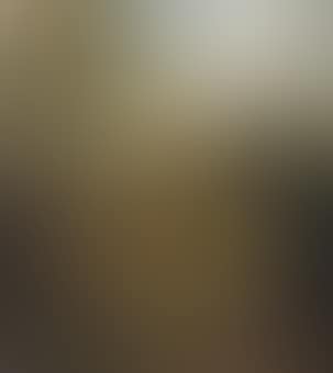 Boomrijk landschap met boerewoningen: a wooded landscape with shepherds (preview)