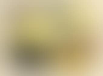 Untitled (Yatra) (preview)
