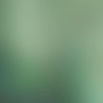 Untitled (Vert émeraude) (preview)