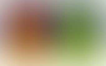 Lemon Squash (2); & Lemon Squash (3) (preview)