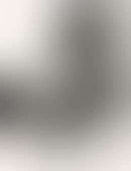 No. 5 (preview)