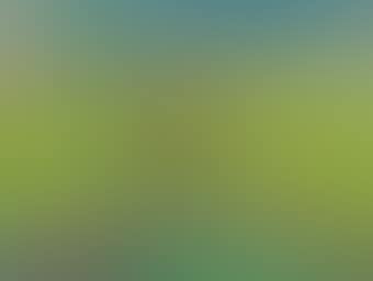 Ohne Titel (preview)