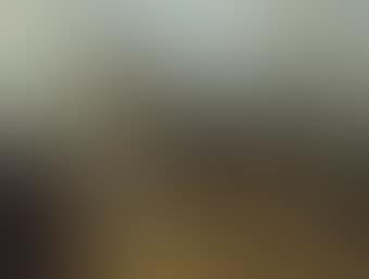 A terrier in a landscape (preview)