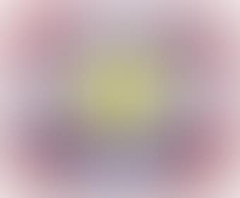 Mustard on White (preview)