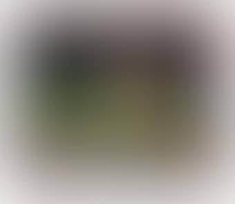Figure Seated on Bed (preview)