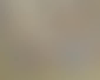 Study for 'Autumn' (preview)
