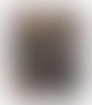 Portrait of M.T. (preview)