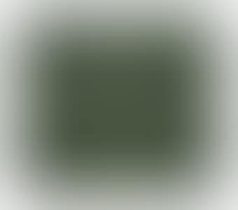 Evergreen (preview)