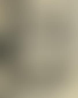Bird (preview)