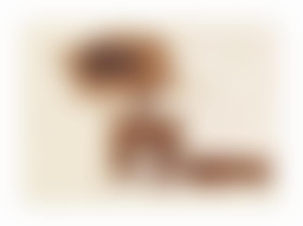 Pol (Pole) (preview)
