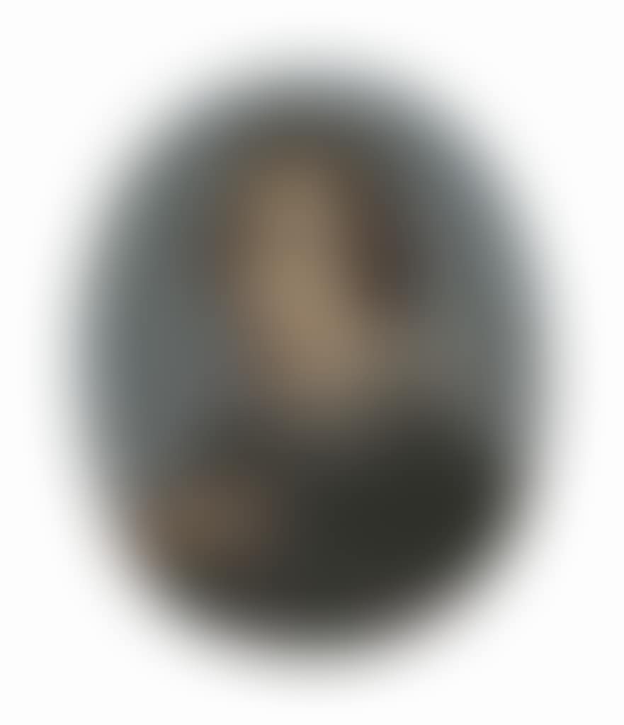 Portrait of a gentleman, bust-length (preview)