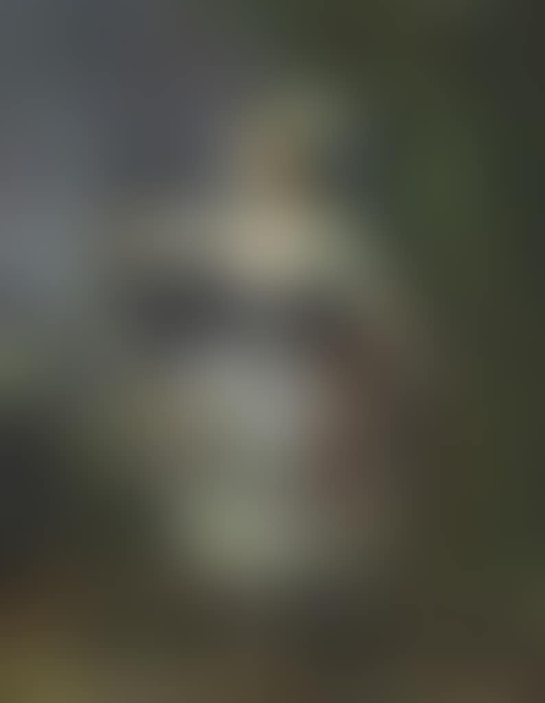 A girl dancing with a garland of flowers (preview)