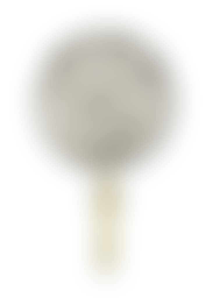 A RARE ART NOUVEAU HAND-MIRROR (preview)