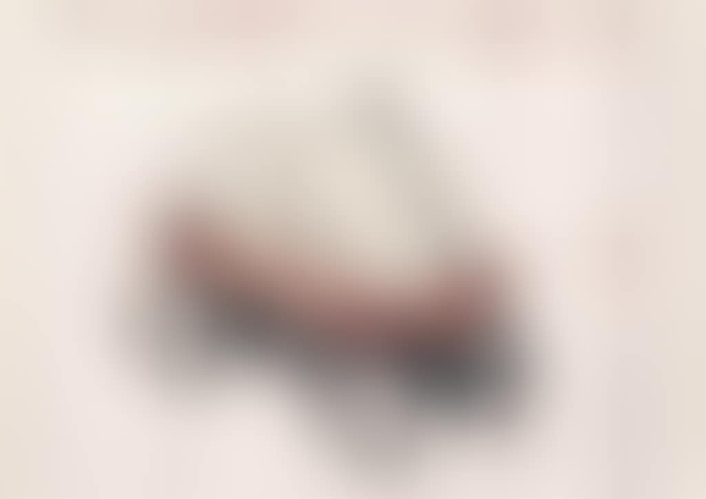 Package on Radio Flyer Wagon (Project) (Schellmann 163) (preview)