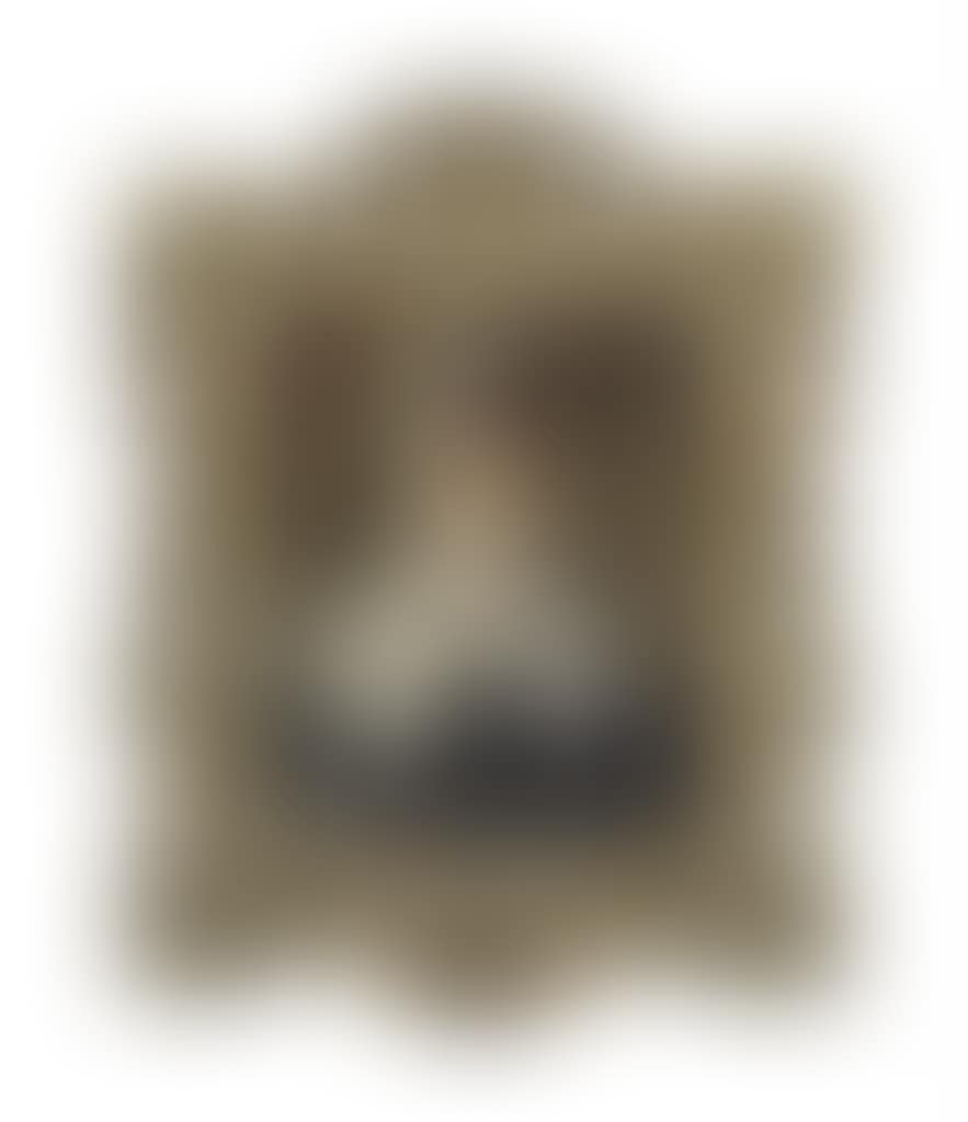 Portrait of a Lady, possibly Johanna (Hanna) Elisabeth Maria von Klinkosch, Princess Aloys of Liechtenstein (preview)