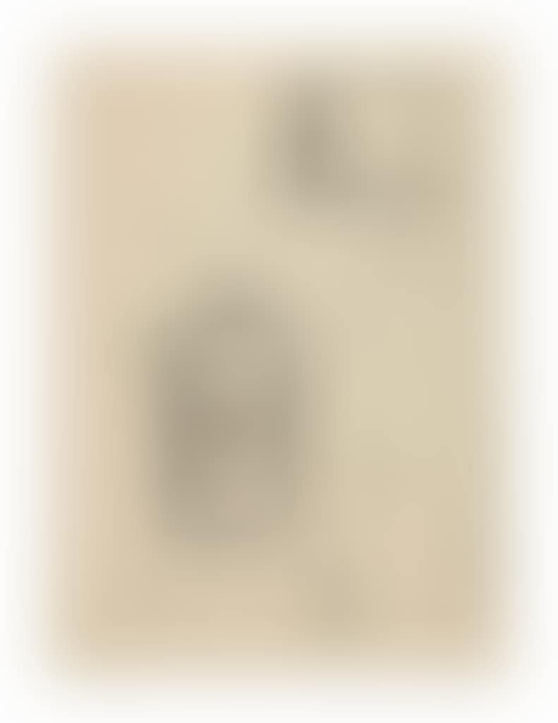 Untitled, plate 6 from Fiat modes pereat ars (preview)
