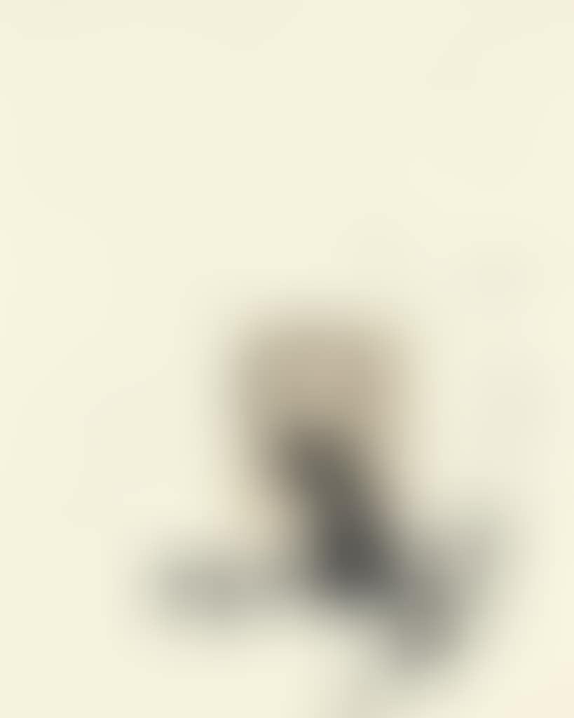 Autoportrait et explosion (preview)