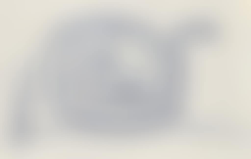 Schneckenpost (preview)