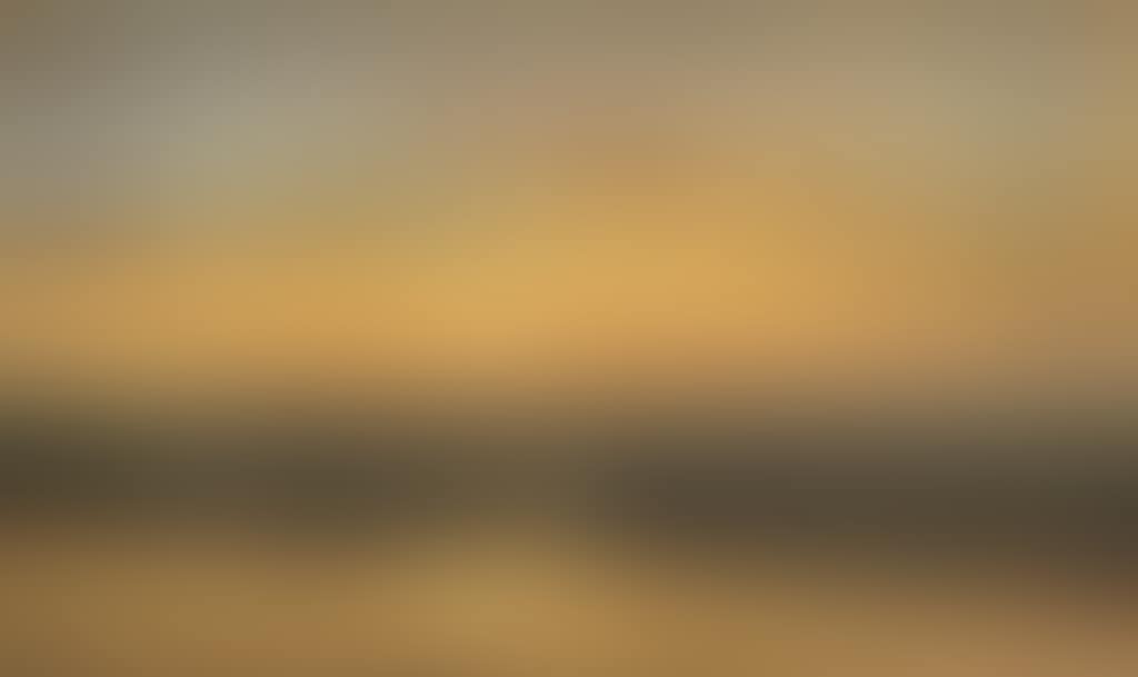 Sunrise on the Seashore (preview)