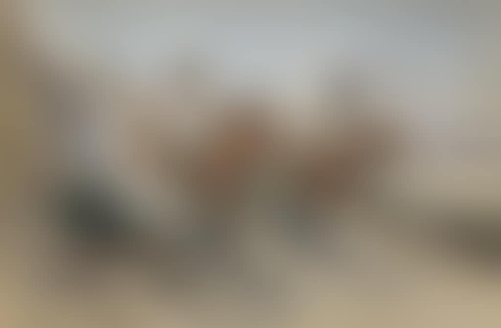 Renegade Apaches (preview)
