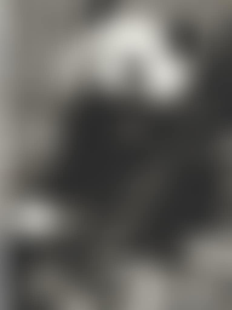 Panda (preview)